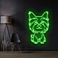 Yorkshire Terrier Hund LED-Neonschild Wohnzimmer Haustierladen