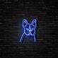 Französische Bulldogge LED-Neonschild Wohnzimmer Haustierladen