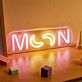 Brighten Up Your Nights: Perfect for Home Decor, Romantic Evenings, and Vibrant Parties with Back Plate LED Neon Moon LED Neon Sign.