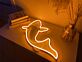 Karpfen LED-Neonschild