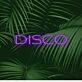 DISCO LED-Neonschild für Club und Bar