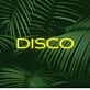 Brighten Up Your Nights: Disco LED Neon Sign for Bars, Clubs, and Festive Home Parties