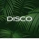 DISCO LED-Neonschild für Club und Bar