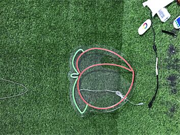 Pfirsich LED-Neonschild für Küche Bar