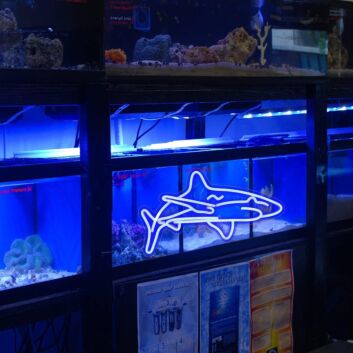 Hai LED-Neonschild für Aquarium und Meeresthema