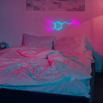 HO HO NH2 LED-Neonschild Wohnzimmer Büro