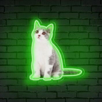 sitzende Katze LED-Neonschild für Wohnzimmer oder Haustierladen