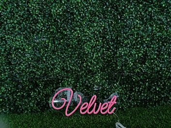 Velvet LED-Neonschild für Bar Club