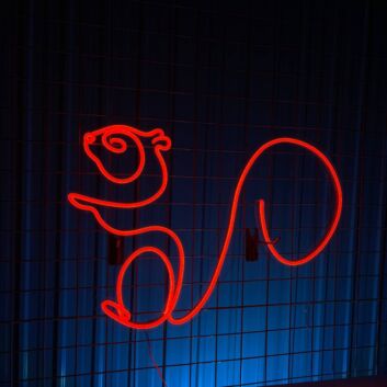 Eichhörnchen Kontur LED-Neonschild Wohnzimmer Kinderzimmer