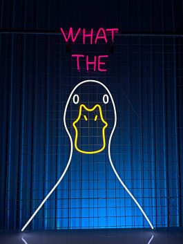 Lustige Ente Neon LED Wandlicht mit What The Schriftzug humorvolle Statement Deko für Wohnzimmer Bar Gaming Zimmer und kreative Räume