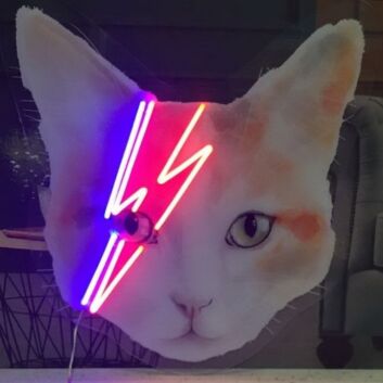 Katze mit Blitzsymbol LED-Neonschild Schlafzimmer Wohnzimmer