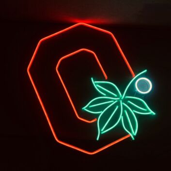 Buchstaben O mit Blattmotiv LED-Neonschild für Wohnzimmer Bar