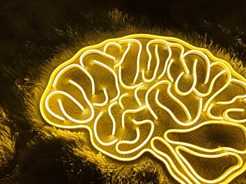 Leuchtendes Gehirn LED Neonlicht Kreative Wanddekoration für Büro Studio und Wohnzimmer