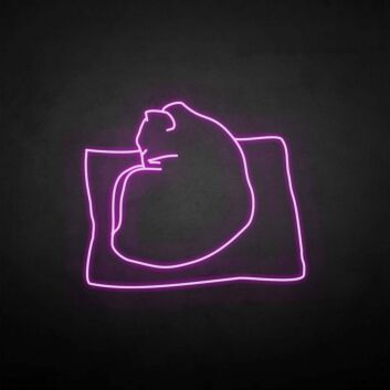 schlafende Katze auf Kissen LED-Neonschild Wohnzimmer Schlafzimmer