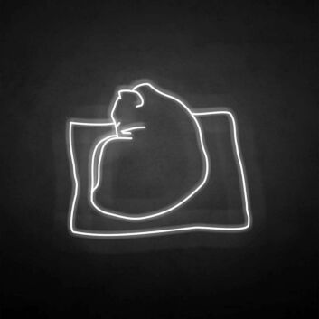 schlafende Katze auf Kissen LED-Neonschild Wohnzimmer Schlafzimmer