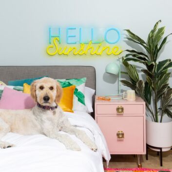 HELLO Sunshine LED-Neonschild für Schlafzimmer oder Wohnzimmer