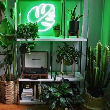 Monstera Blatt LED-Neonschild für Wohnzimmer und Pflanzendekor