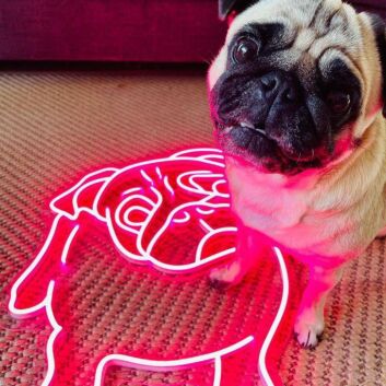 Mops Illustration LED-Neonschild Wohnzimmer