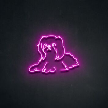 Shih-Tzu Hund LED-Neonschild Wohnzimmer