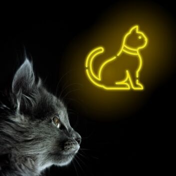 sitzende Katze LED-Neonschild Wohnzimmer Schlafzimmer
