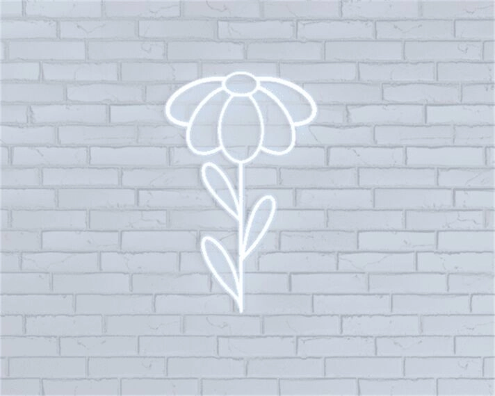 Brighten Up Your Space: From Cozy Home Corners to Vibrant Office Vibes with LED Oopsie Daisy Neon Sign.