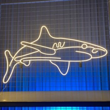 Hai LED-Neonschild für Bar und Restaurant