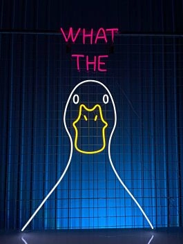 Lustige Ente Neon LED Wandlicht mit What The Schriftzug humorvolle Statement Deko für Wohnzimmer Bar Gaming Zimmer und kreative Räume