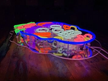 Zuckerschädel mit Blume LED-Neonschild für Bar Club
