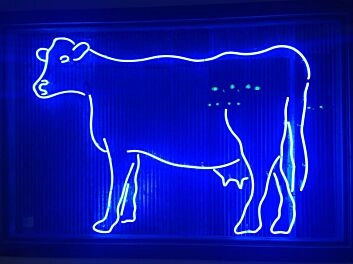 Kuh LED-Neonschild für Restaurant Metzgerei