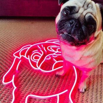 Mops Illustration LED-Neonschild Wohnzimmer
