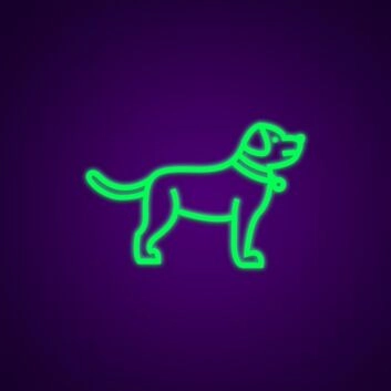 Hund mit Halsband LED-Neonschild Haustierladen Wohnzimmer