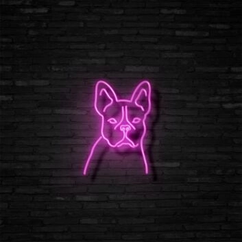 Französische Bulldogge LED-Neonschild Wohnzimmer Haustierladen