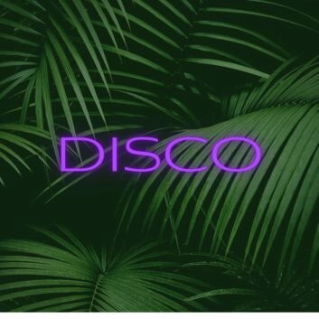 Brighten Up Your Nights: Disco LED Neon Sign for Bars, Clubs, and Festive Home Parties